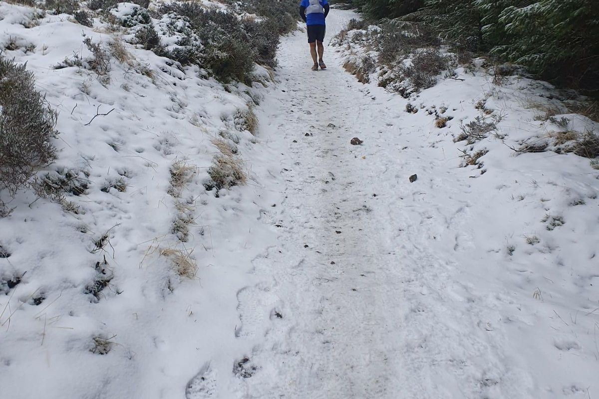 A snow-covered forest trail climbing through Glentress, a single runner ahead on the track.