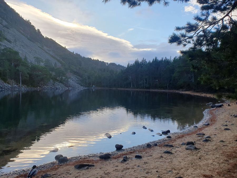 An Lochan Uaine, a still green loch ringed by pines and scree in Abernethy Forest.